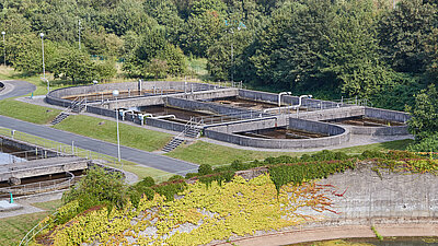 Klärbecken des Abwasserwerks von oben, umgeben von Bäumen